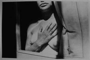 Image description is not available for 2011.002